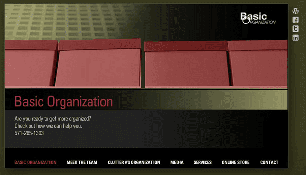 Basic Organization - old website