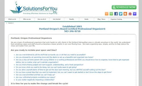 SolutionsForYou old website